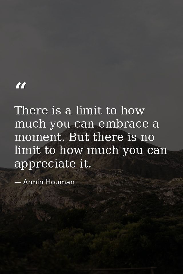 There is a limit to how much you can embrace a moment. But there is no limit to how much you can appreciate it. — Armin Houman