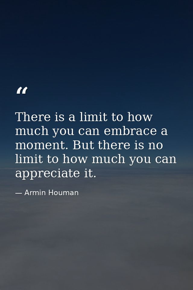 There is a limit to how much you can embrace a moment. But there is no limit to how much you can appreciate it. — Armin Houman