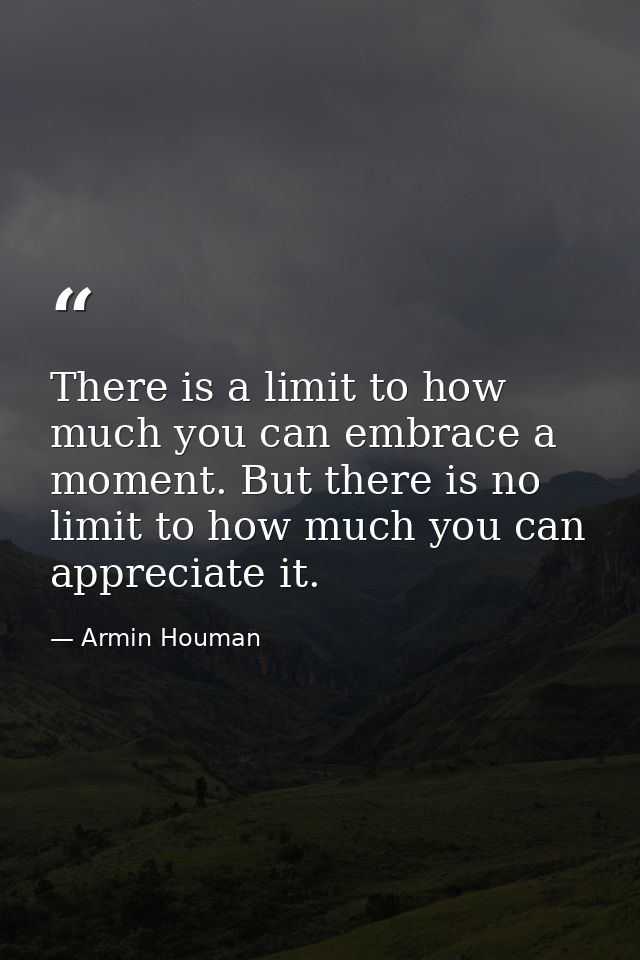 There is a limit to how much you can embrace a moment. But there is no limit to how much you can appreciate it. — Armin Houman