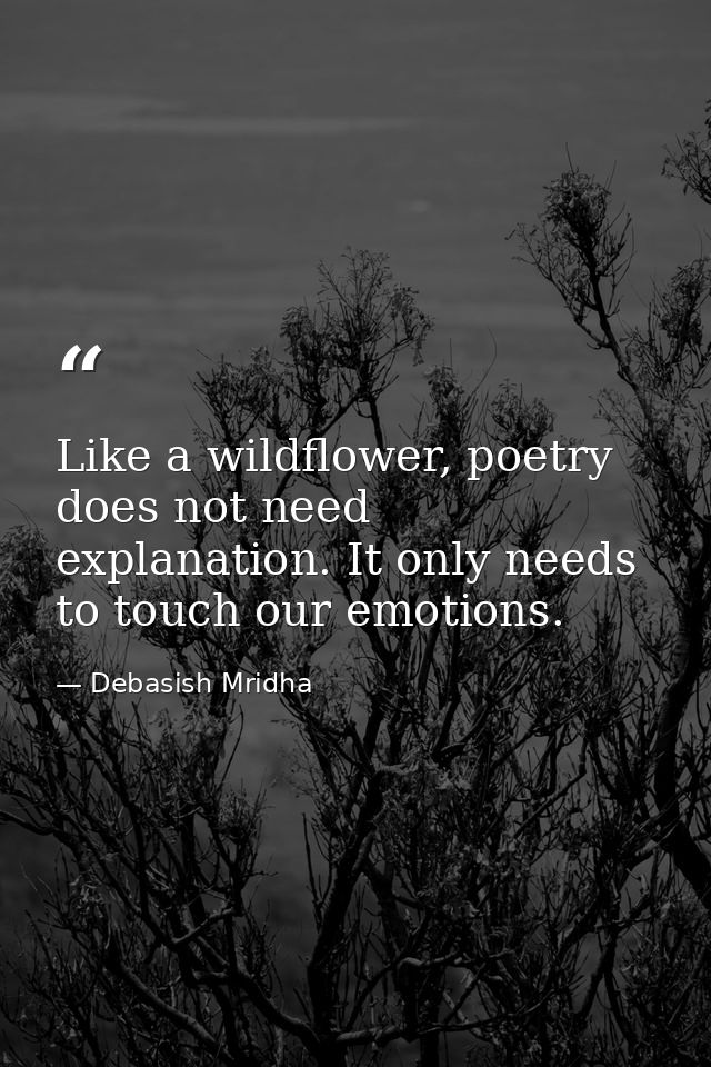 Like a wildflower, poetry does not need explanation. It only needs to touch our emotions. — Debasish Mridha