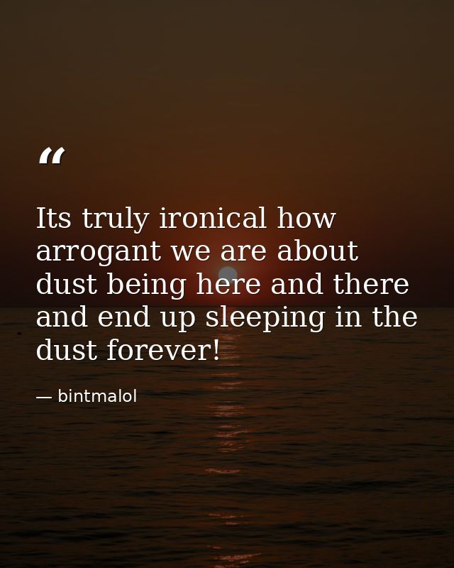 Its truly ironical how arrogant we are about dust being here and there and end up sleeping in the dust forever! — bintmalol