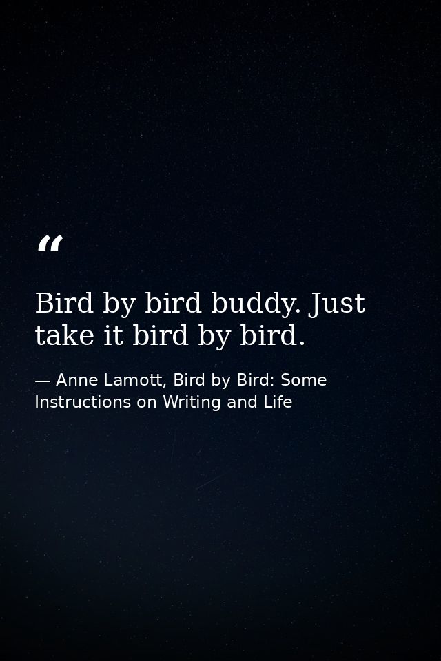 Bird by bird buddy. Just take it bird by bird. — Anne Lamott, Bird by Bird: Some Instructions on Writing and Life