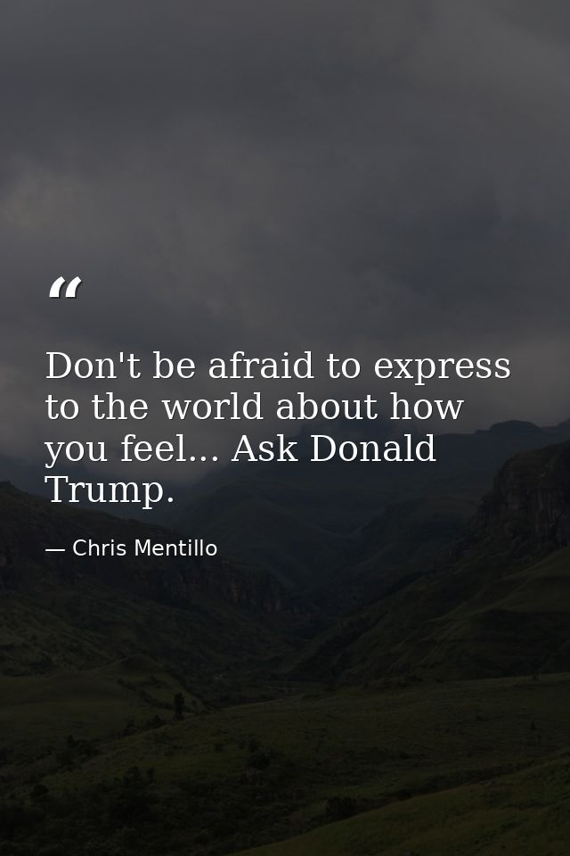 Don't be afraid to express to the world about how you feel... Ask Donald Trump. — Chris Mentillo
