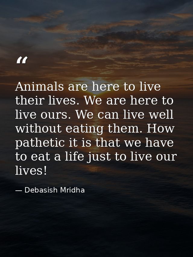Animals are here to live their lives. We are here to live ours. We can live well without eating them. How pathetic it is — Debasish Mridha
