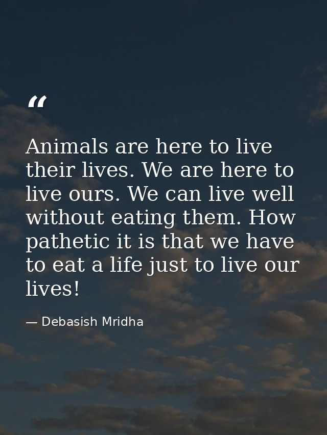 Animals are here to live their lives. We are here to live ours. We can live well without eating them. How pathetic it is — Debasish Mridha
