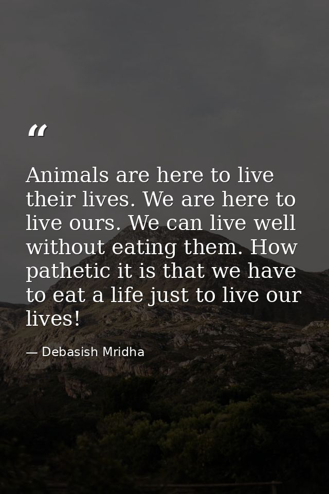 Animals are here to live their lives. We are here to live ours. We can live well without eating them. How pathetic it is — Debasish Mridha