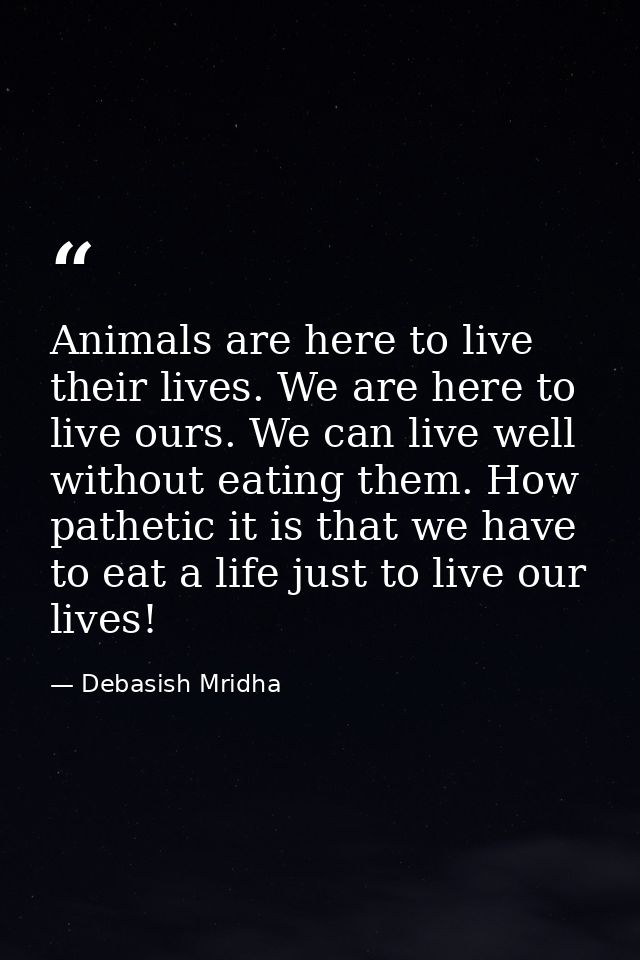 Animals are here to live their lives. We are here to live ours. We can live well without eating them. How pathetic it is — Debasish Mridha