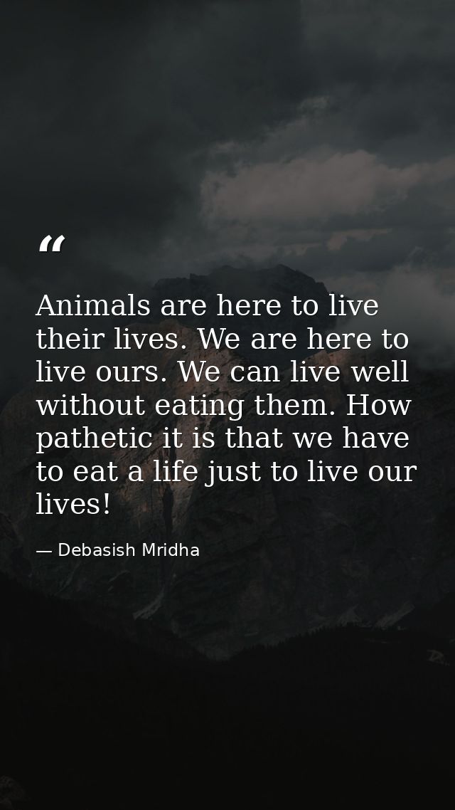 Animals are here to live their lives. We are here to live ours. We can live well without eating them. How pathetic it is — Debasish Mridha