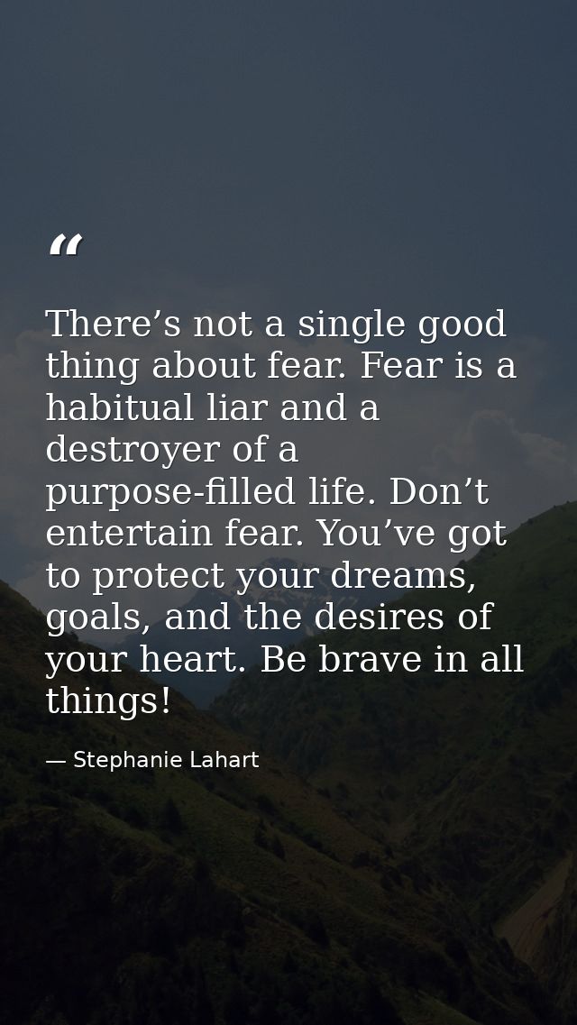 There’s not a single good thing about fear. Fear is a habitual liar and a destroyer of a purpose-filled life. Don’t ente — Stephanie Lahart