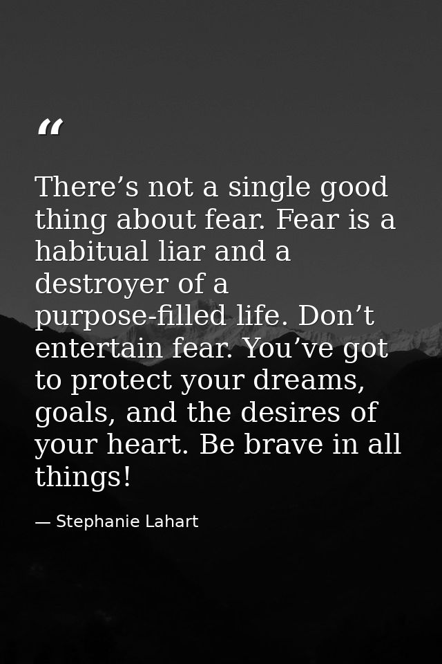 There’s not a single good thing about fear. Fear is a habitual liar and a destroyer of a purpose-filled life. Don’t ente — Stephanie Lahart