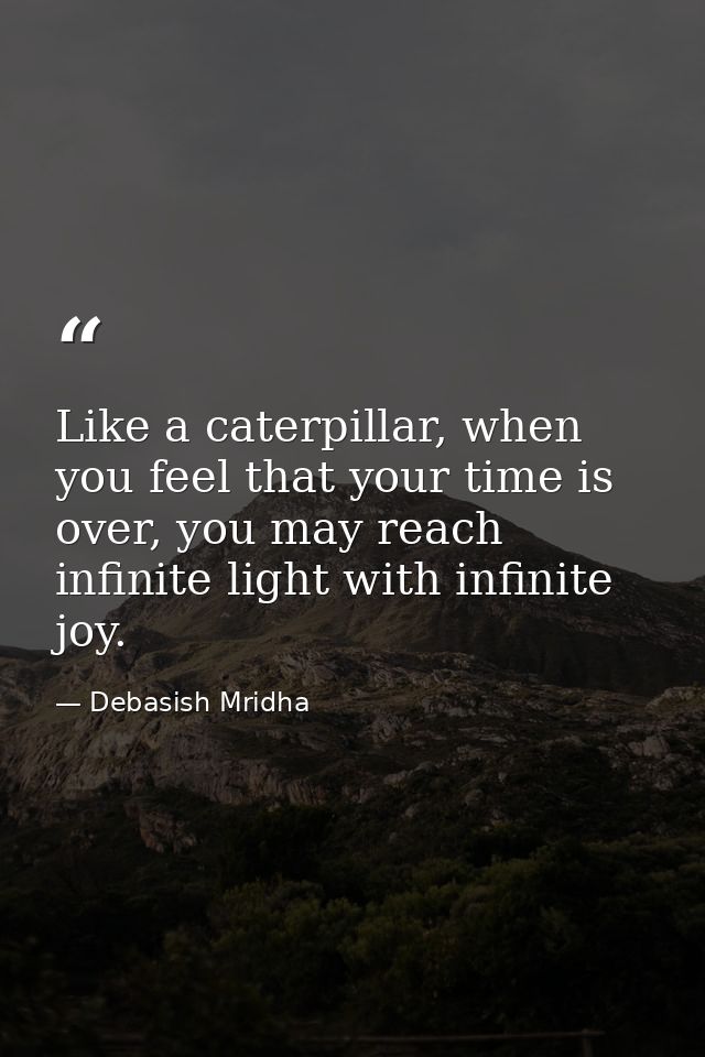 Like a caterpillar, when you feel that your time is over, you may reach infinite light with infinite joy. — Debasish Mridha