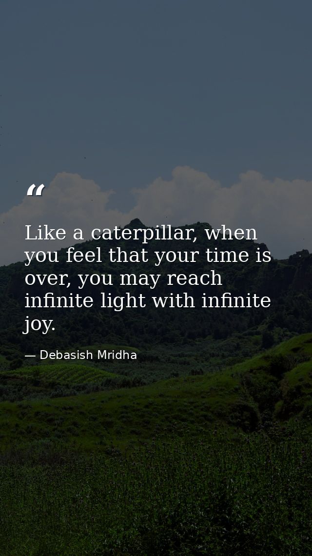 Like a caterpillar, when you feel that your time is over, you may reach infinite light with infinite joy. — Debasish Mridha