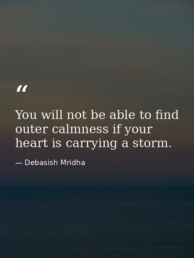 You will not be able to find outer calmness if your heart is carrying a storm. — Debasish Mridha