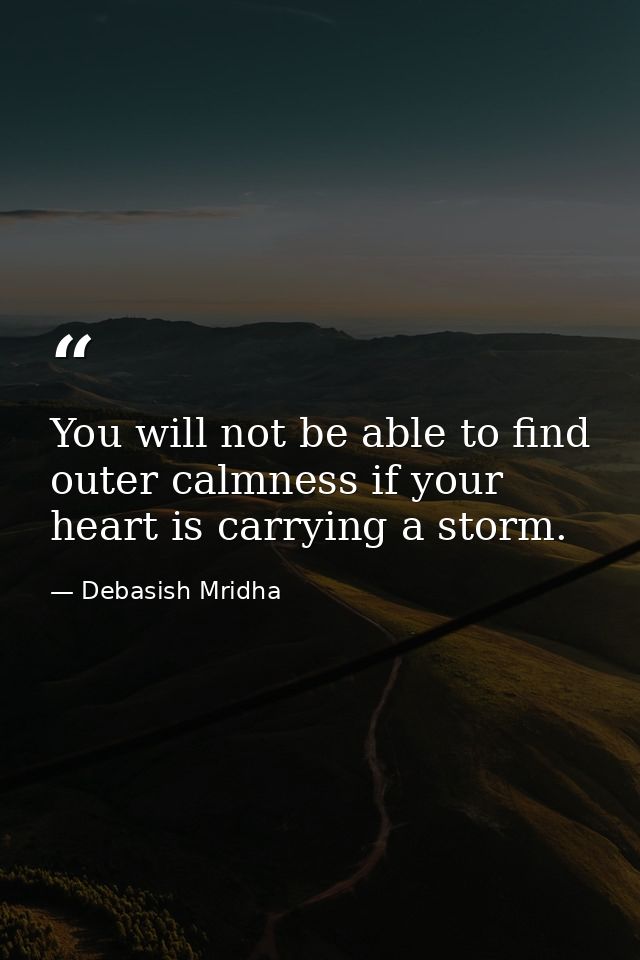 You will not be able to find outer calmness if your heart is carrying a storm. — Debasish Mridha