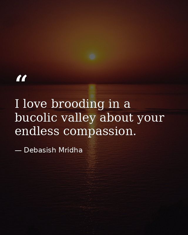 I love brooding in a bucolic valley about your endless compassion. — Debasish Mridha