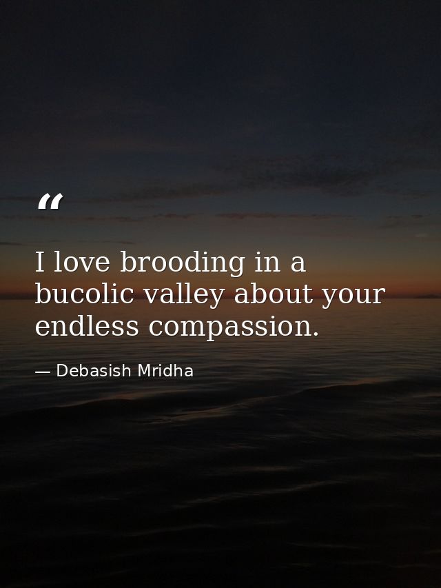I love brooding in a bucolic valley about your endless compassion. — Debasish Mridha