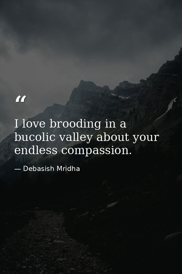 I love brooding in a bucolic valley about your endless compassion. — Debasish Mridha