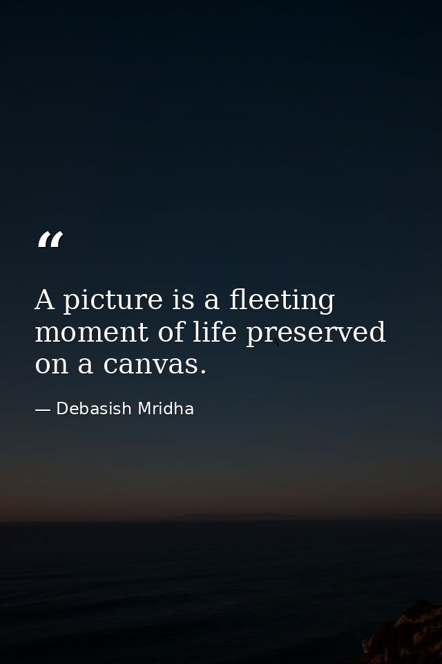 A picture is a fleeting moment of life preserved on a canvas. — Debasish Mridha