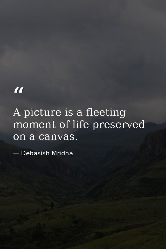 A picture is a fleeting moment of life preserved on a canvas. — Debasish Mridha