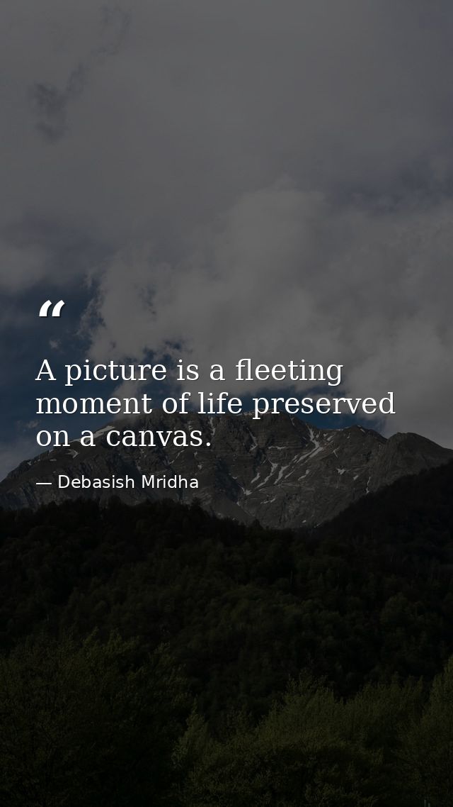 A picture is a fleeting moment of life preserved on a canvas. — Debasish Mridha