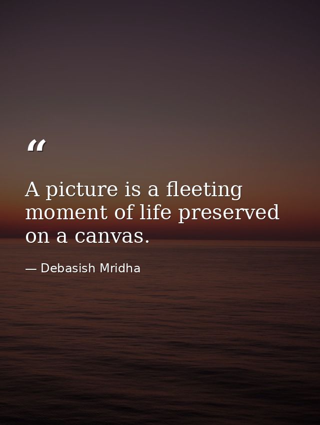 A picture is a fleeting moment of life preserved on a canvas. — Debasish Mridha