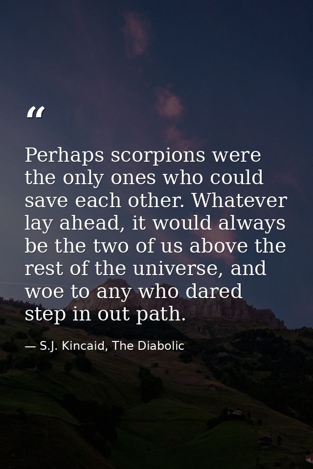 Perhaps scorpions were the only ones who could save each other. Whatever lay ahead, it would always be the two of us abo — S.J. Kincaid, The Diabolic