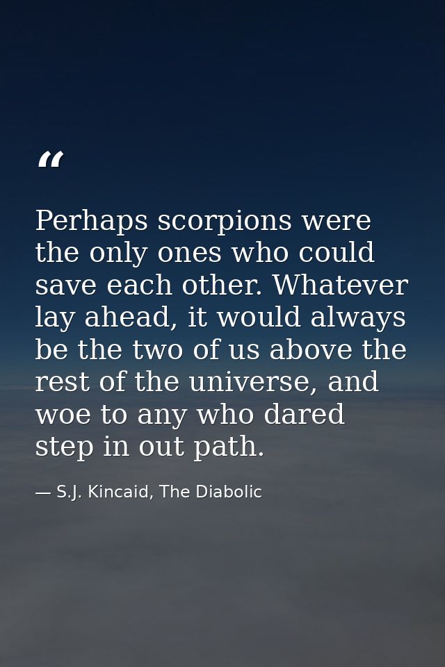 Perhaps scorpions were the only ones who could save each other. Whatever lay ahead, it would always be the two of us abo — S.J. Kincaid, The Diabolic