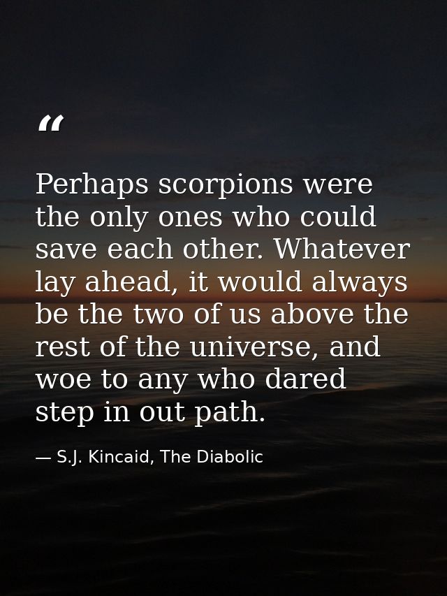 Perhaps scorpions were the only ones who could save each other. Whatever lay ahead, it would always be the two of us abo — S.J. Kincaid, The Diabolic
