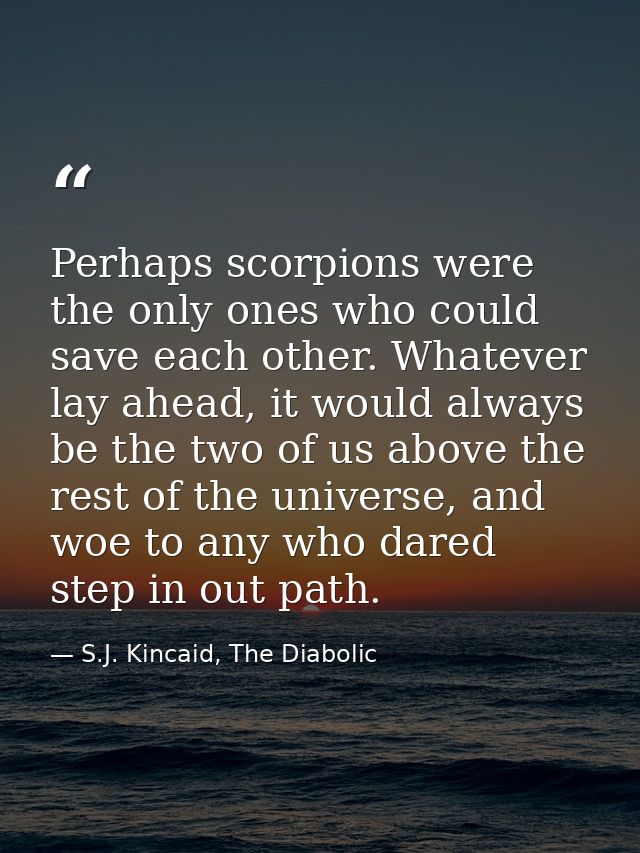 Perhaps scorpions were the only ones who could save each other. Whatever lay ahead, it would always be the two of us abo — S.J. Kincaid, The Diabolic