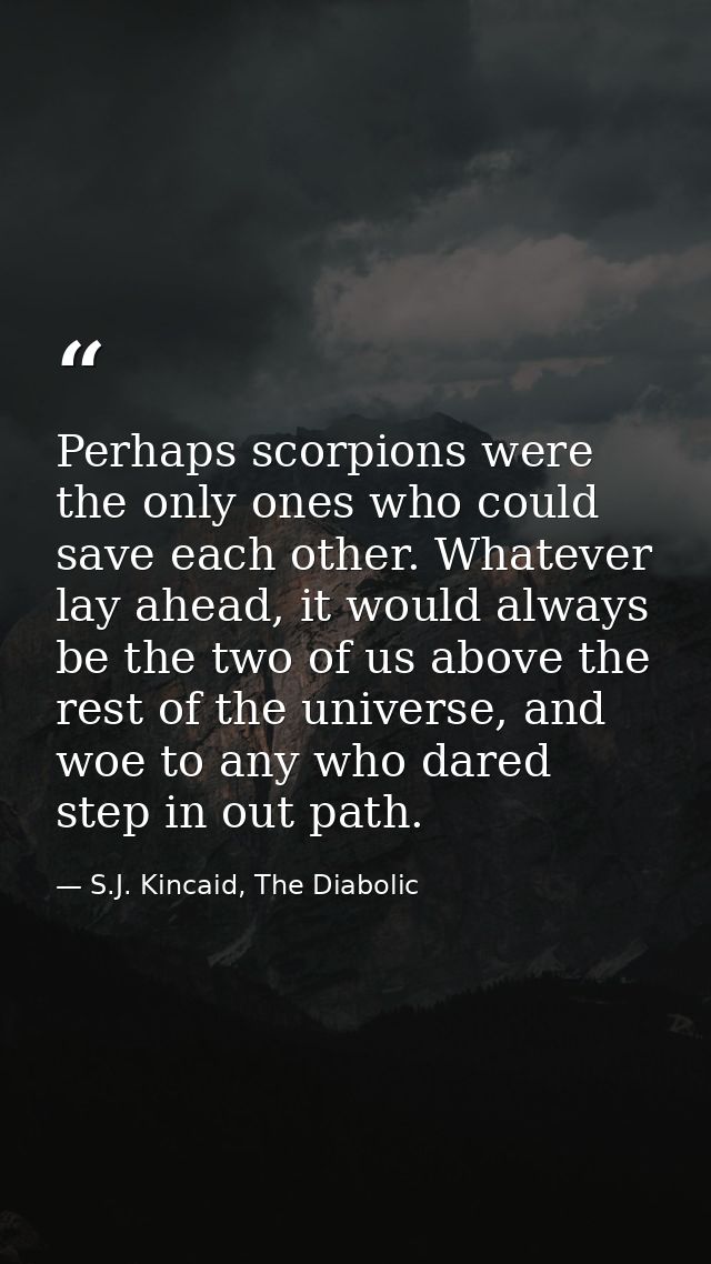 Perhaps scorpions were the only ones who could save each other. Whatever lay ahead, it would always be the two of us abo — S.J. Kincaid, The Diabolic