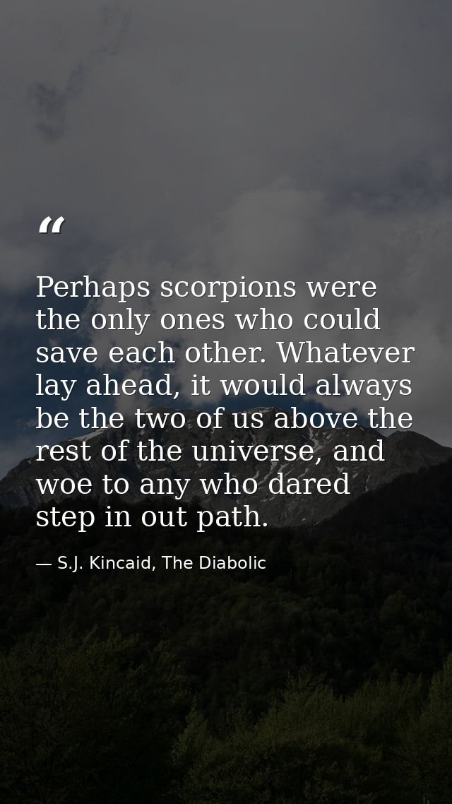 Perhaps scorpions were the only ones who could save each other. Whatever lay ahead, it would always be the two of us abo — S.J. Kincaid, The Diabolic