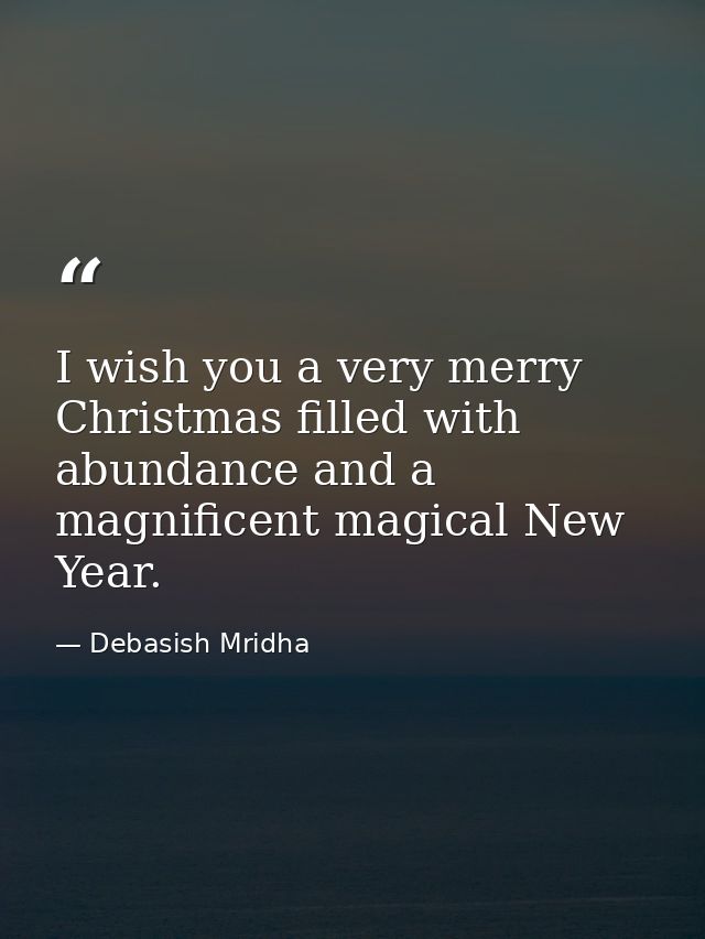 I wish you a very merry Christmas filled with abundance and a magnificent magical New Year. — Debasish Mridha