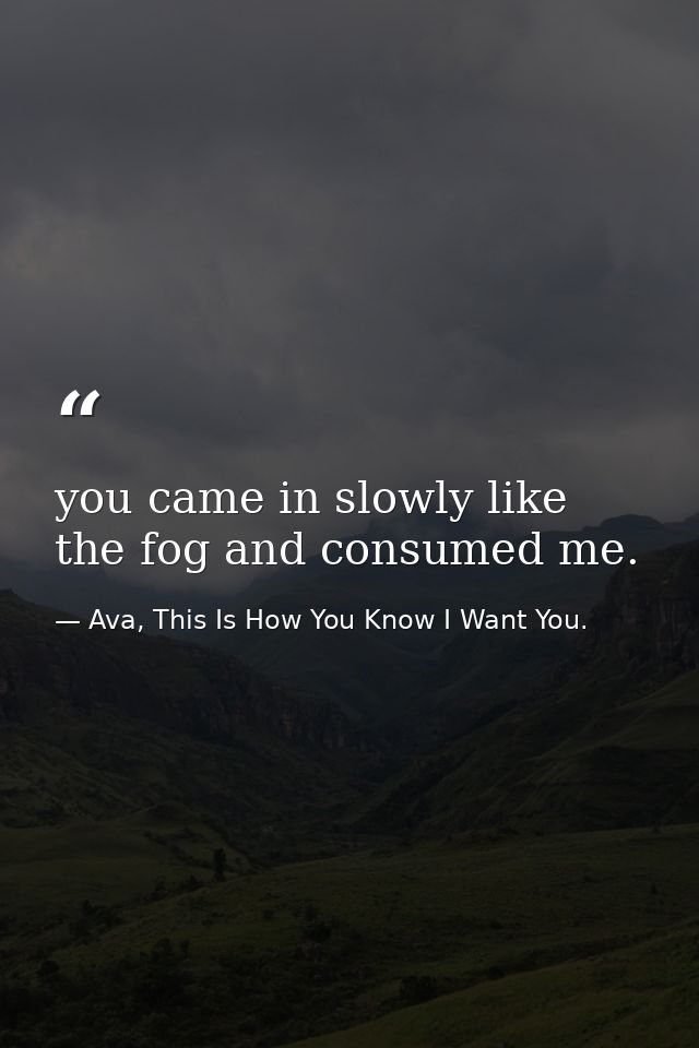 you came in slowly like the fog and consumed me. — Ava, This Is How You Know I Want You.