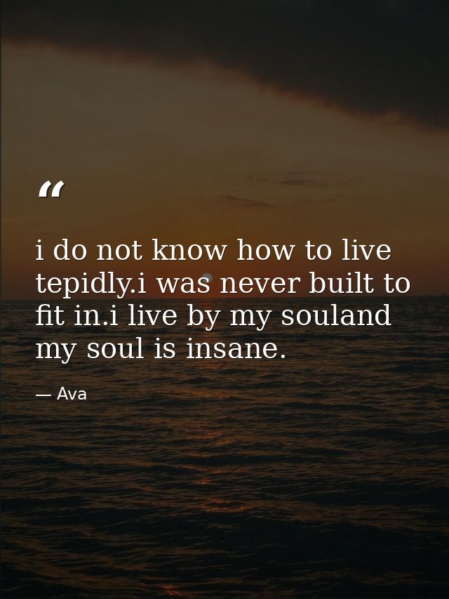 i do not know how to live tepidly.i was never built to fit in.i live by my souland my soul is insane. — Ava
