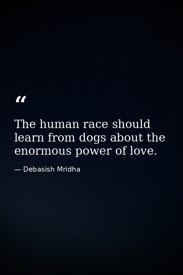 The human race should learn from dogs about the enormous power of love. — Debasish Mridha