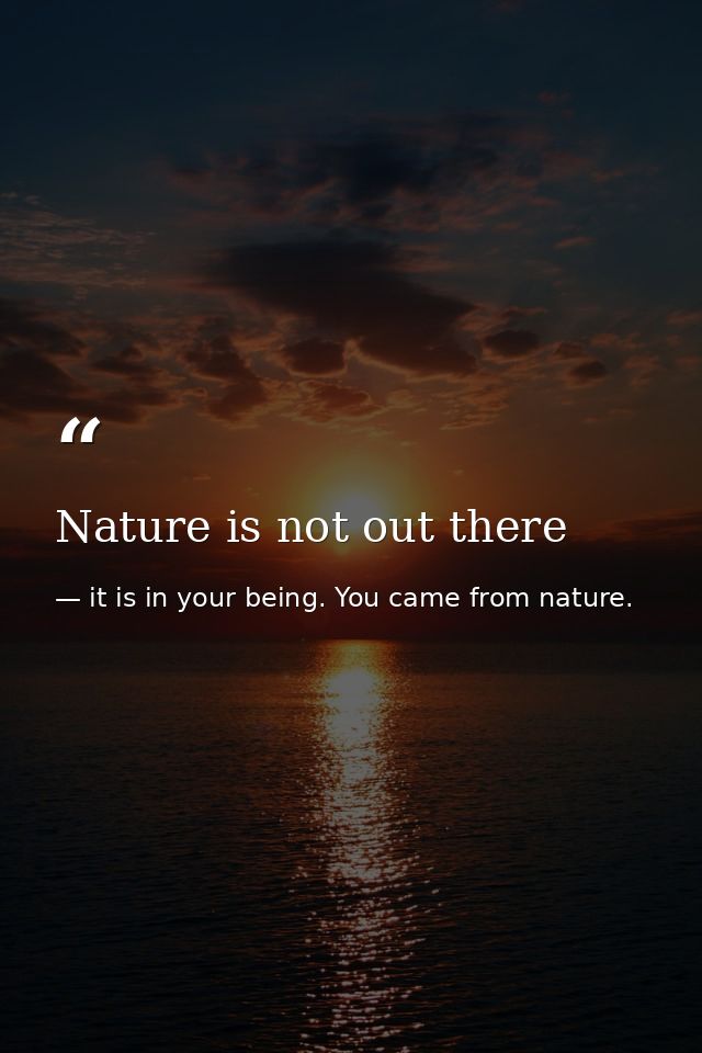 Nature is not out there — it is in your being. You came from nature.