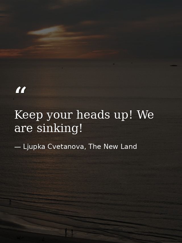 Keep your heads up! We are sinking! — Ljupka Cvetanova, The New Land