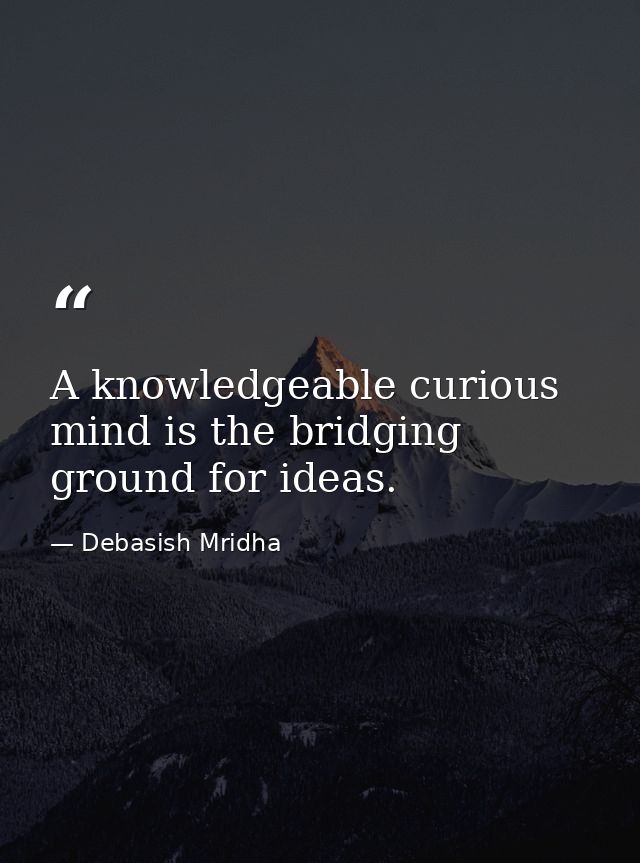 A knowledgeable curious mind is the bridging ground for ideas. — Debasish Mridha
