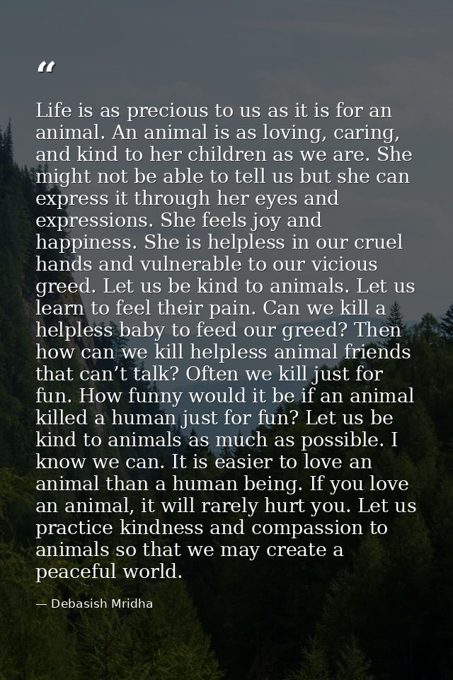 Life is as precious to us as it is for an animal. An animal is as loving, caring, and kind to her children as we are. Sh — Debasish Mridha