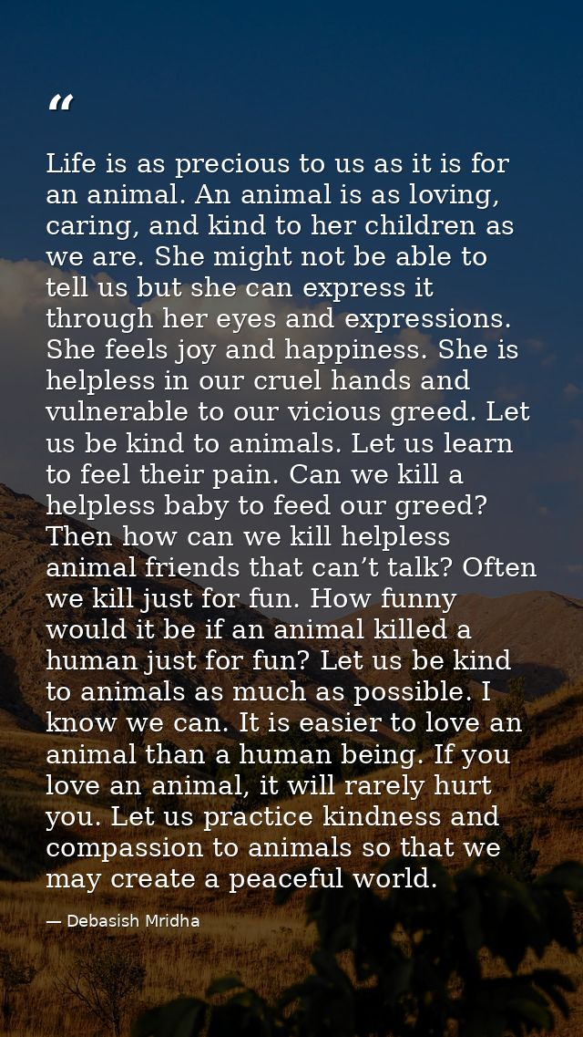 Life is as precious to us as it is for an animal. An animal is as loving, caring, and kind to her children as we are. Sh — Debasish Mridha