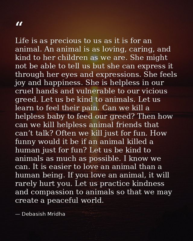 Life is as precious to us as it is for an animal. An animal is as loving, caring, and kind to her children as we are. Sh — Debasish Mridha