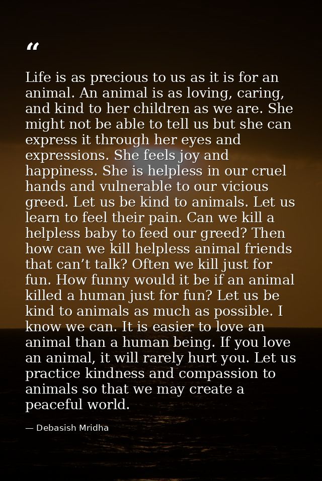 Life is as precious to us as it is for an animal. An animal is as loving, caring, and kind to her children as we are. Sh — Debasish Mridha