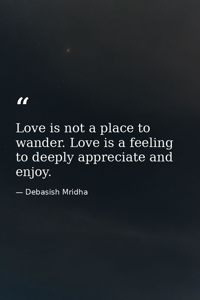 Love is not a place to wander. Love is a feeling to deeply appreciate and enjoy. — Debasish Mridha