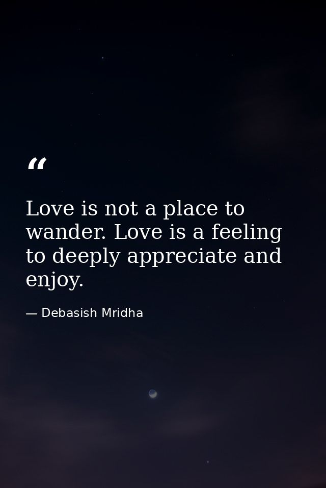 Love is not a place to wander. Love is a feeling to deeply appreciate and enjoy. — Debasish Mridha