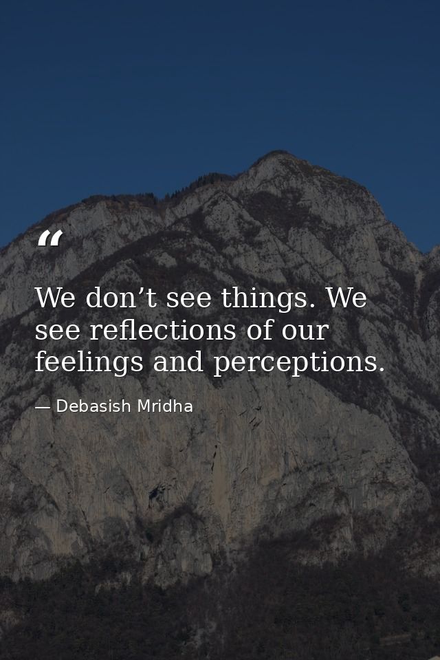 We don’t see things. We see reflections of our feelings and perceptions. — Debasish Mridha