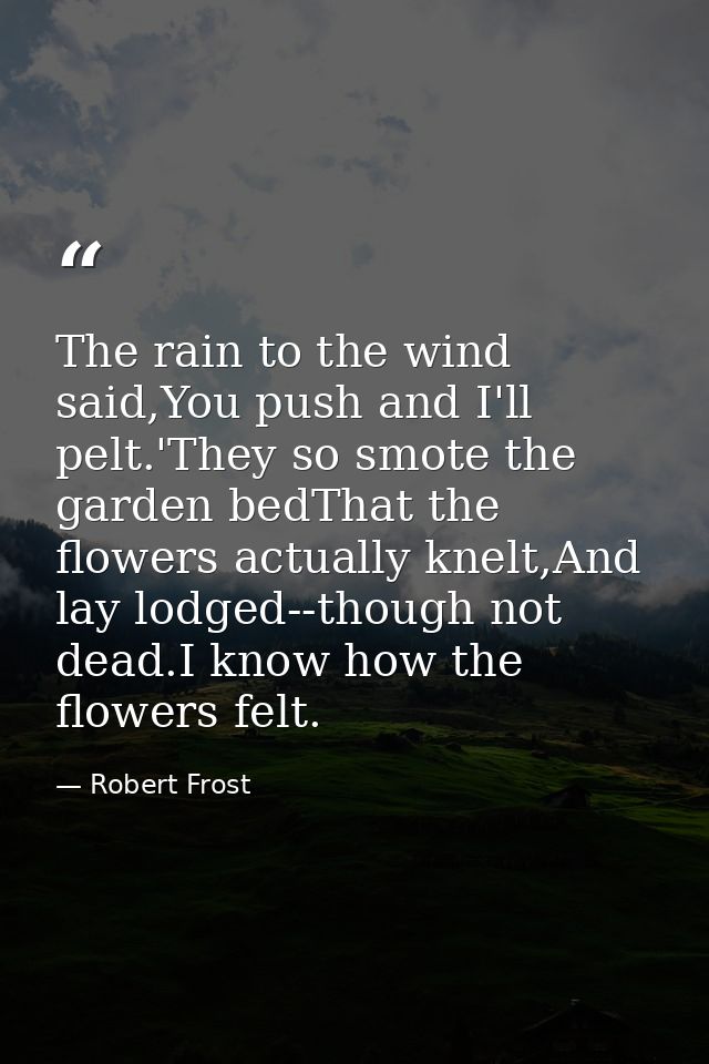 The rain to the wind said,You push and I'll pelt.'They so smote the garden bedThat the flowers actually knelt,And lay lo — Robert Frost