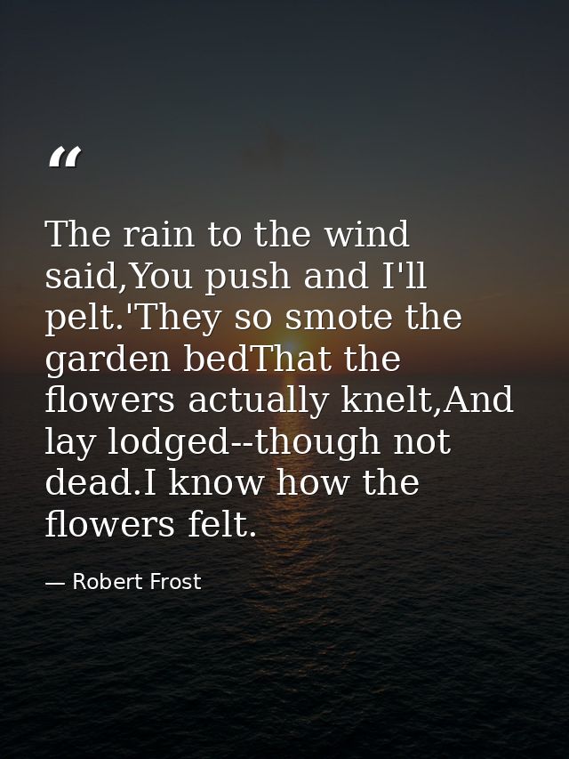 The rain to the wind said,You push and I'll pelt.'They so smote the garden bedThat the flowers actually knelt,And lay lo — Robert Frost