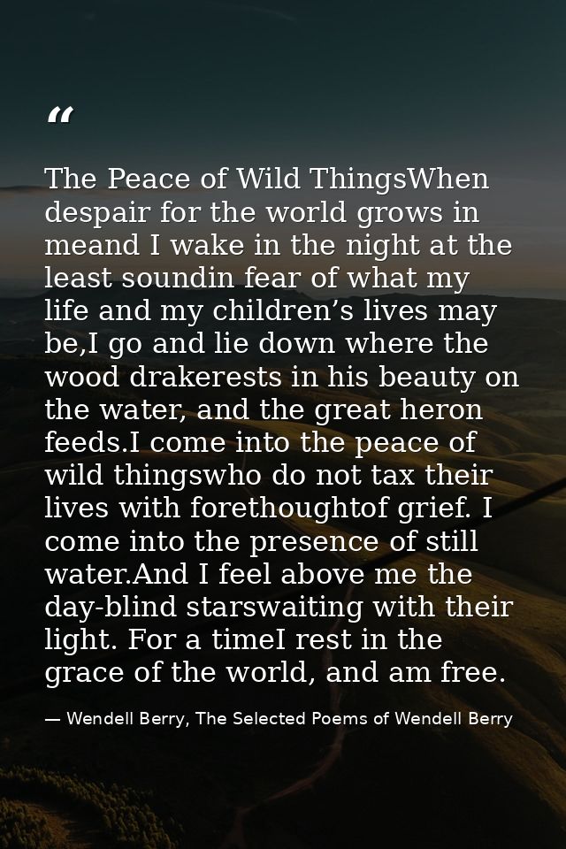 The Peace of Wild ThingsWhen despair for the world grows in meand I wake in the night at the least soundin fear of what  — Wendell Berry, The Selected Poems of Wendell Berry