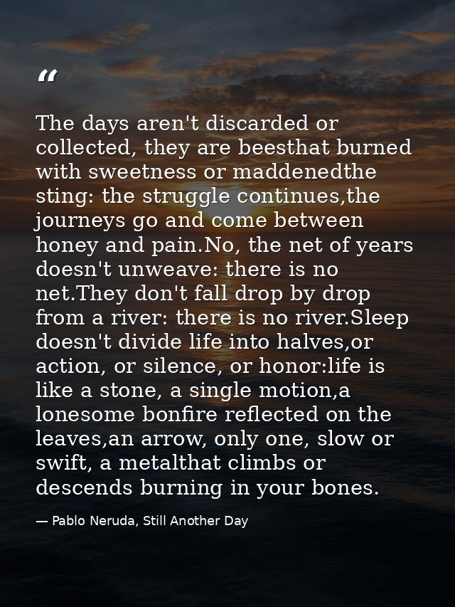 The days aren't discarded or collected, they are beesthat burned with sweetness or maddenedthe sting: the struggle conti — Pablo Neruda, Still Another Day