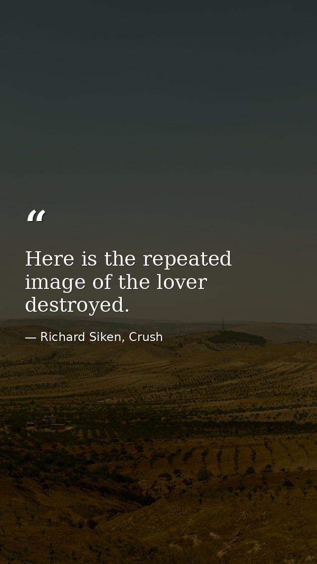 Here is the repeated image of the lover destroyed. — Richard Siken, Crush